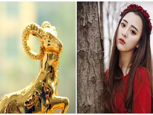 Top 4 con giáp có giác quan thứ 6 cực chính xác