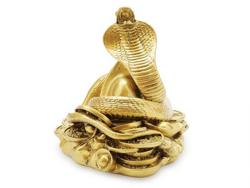 Sinh năm 1965 mệnh gì? Tuổi Ất Tị hợp với màu nào nhất?