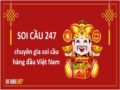 thống kê 247 là gì?