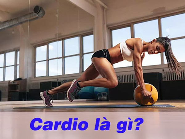 Tập cardio là gì? Lợi ích của việc tập cardio đối với cơ thể?