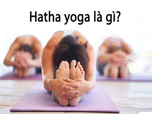 Hatha yoga là gì? Những điều thú vị về trường phái hatha yoga