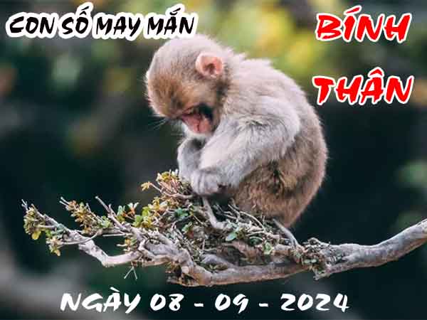 Phân tích con số may mắn tuổi Bính Thân ngày 8/9/2024 chủ nhật hôm nay