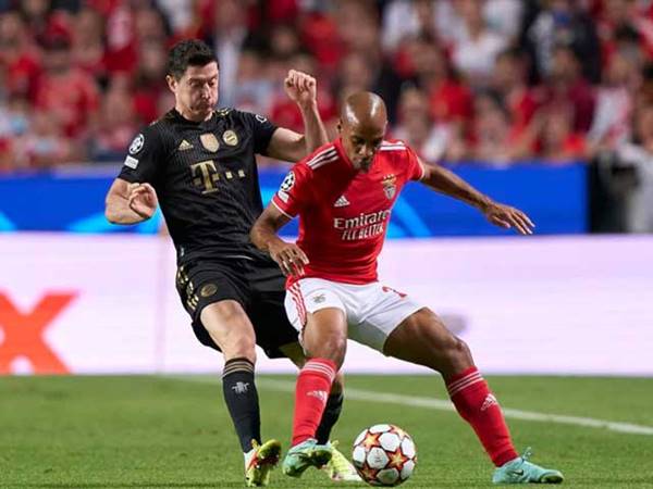 Nhận định trận đấu Bayern vs Benfica, 03h00 ngày 7/11